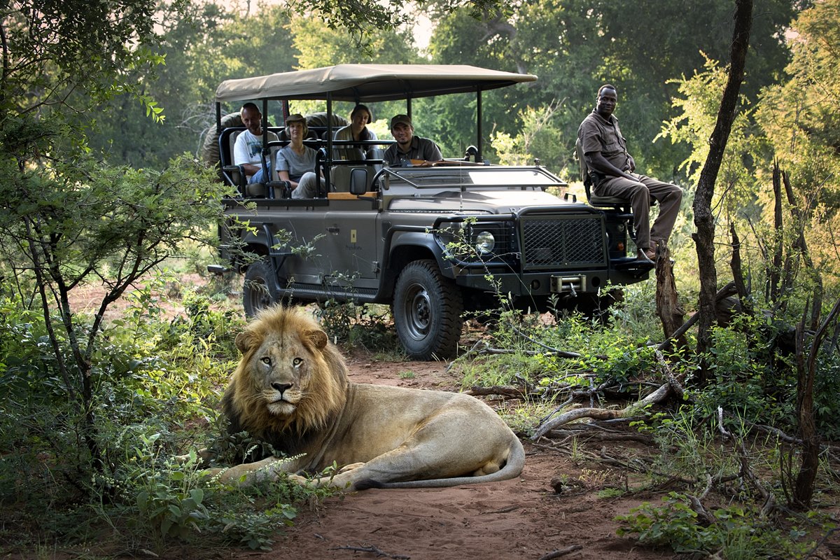 Discover South Africa: Tailor-Made Safari Adventures for Every Traveller