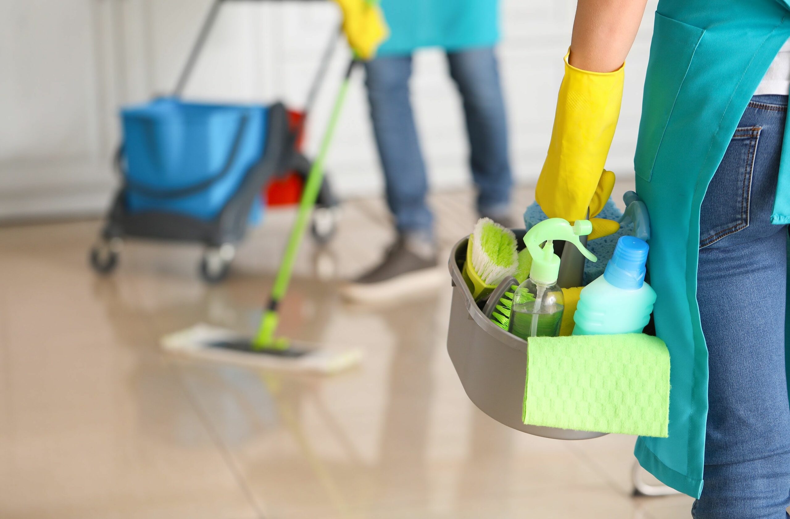 The Rise in Popularity of Home Cleaning Services in the USA